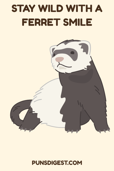Cute Ferret Puns