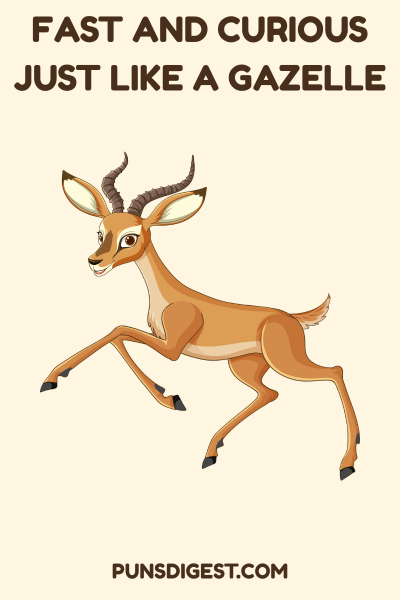 Cute Gazelle Puns