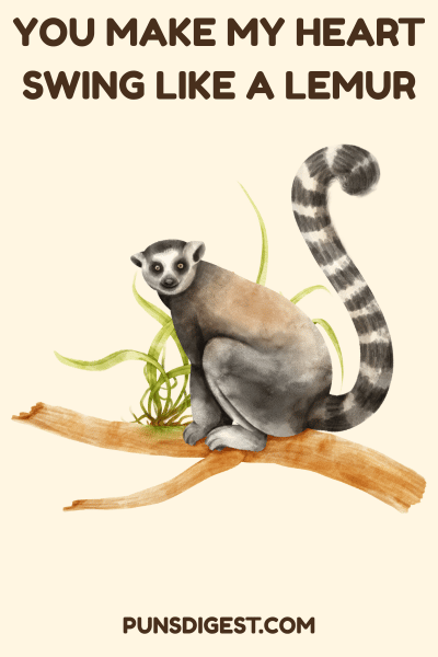 Cute Lemur Puns
