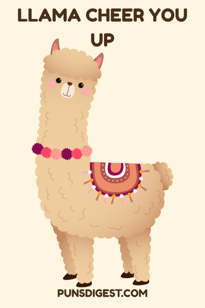 Cute Llama Puns