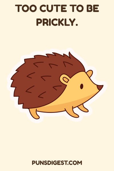 Cute Porcupine Puns