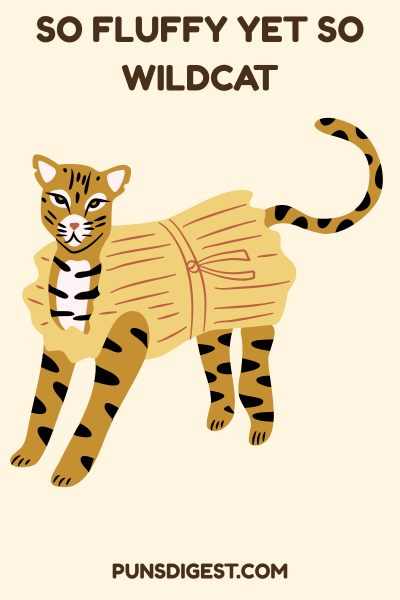 Cute Wildcat Puns