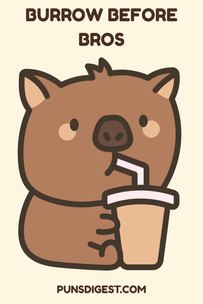 Cute Wombat Puns