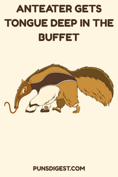Dirty Anteater Puns