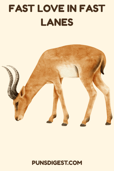Dirty Antelope Puns