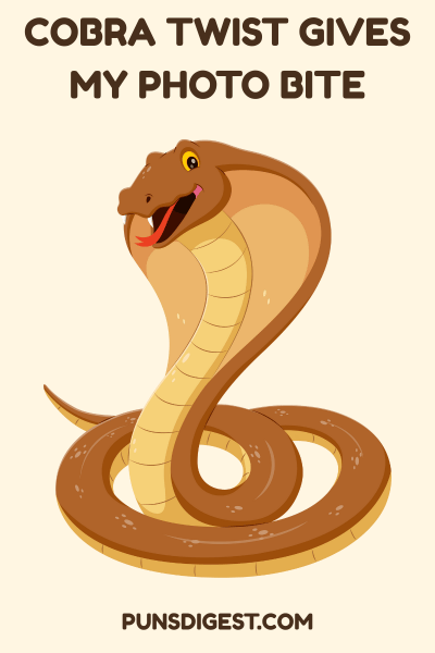 Dirty Cobra Puns