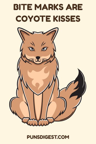 Dirty Coyote Puns