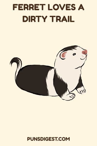 Dirty Ferret Puns