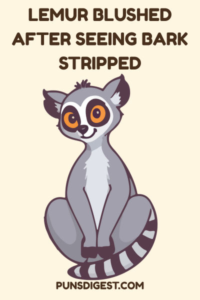 Dirty Lemur Puns