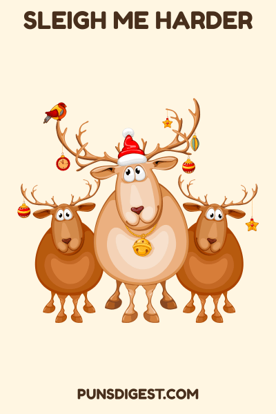 Dirty Reindeer Puns