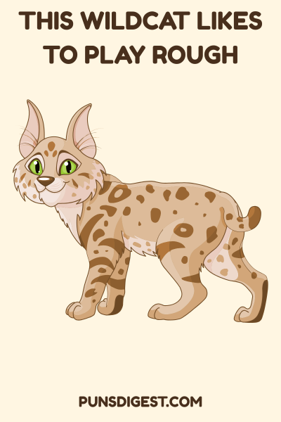 Dirty Wildcat Puns