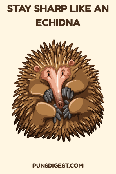 Echidna Name Puns