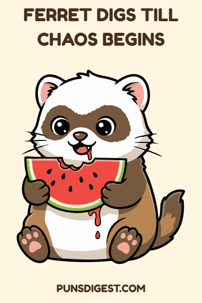 Ferret Puns for Captions