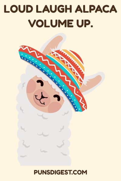 Funny Alpaca Puns