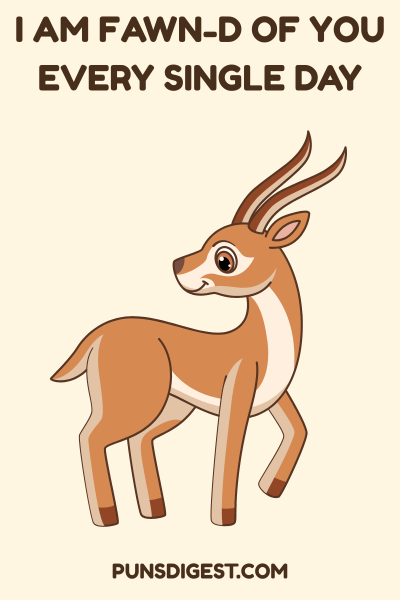 Funny Antelope Puns