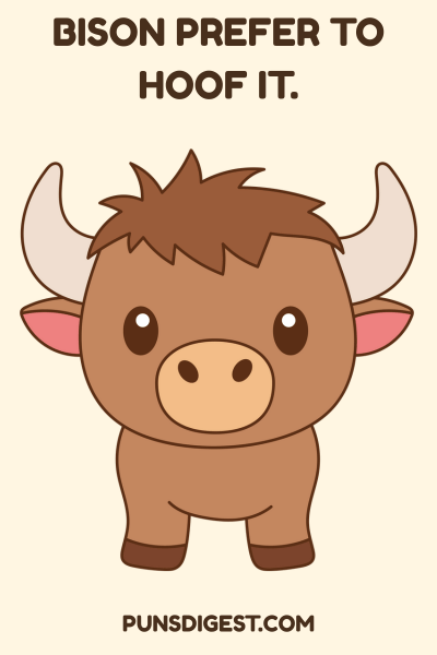 Funny Bison Puns