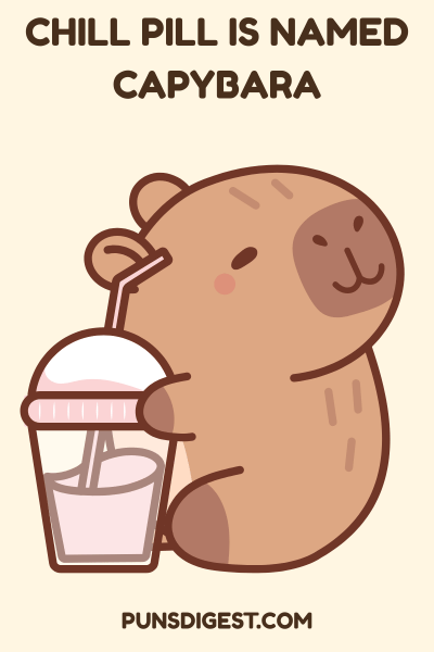 Funny Capybara Puns