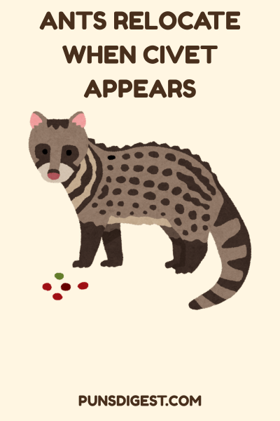 Funny Civet Puns