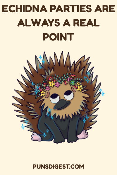 Funny Echidna Puns