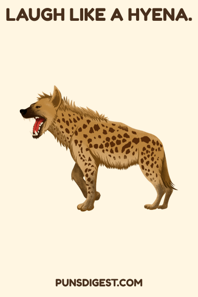 Funny Hyena Puns