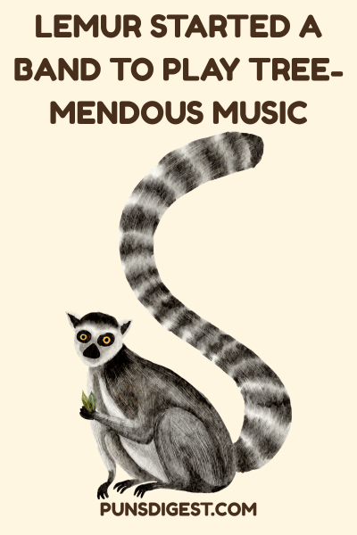 Funny Lemur Puns