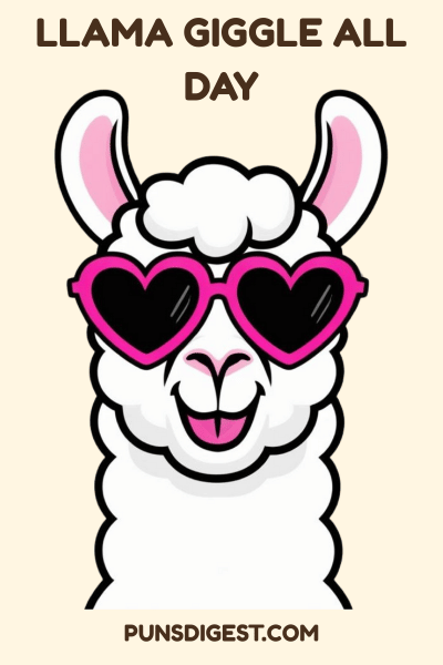 Funny Llama Puns