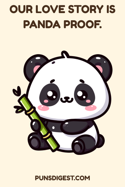 Funny Panda Puns