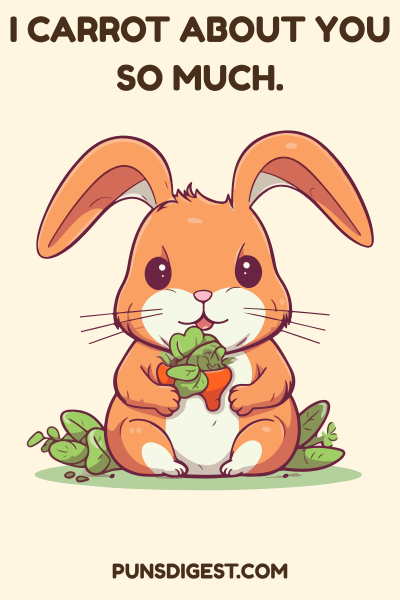 Funny Rabbit Puns