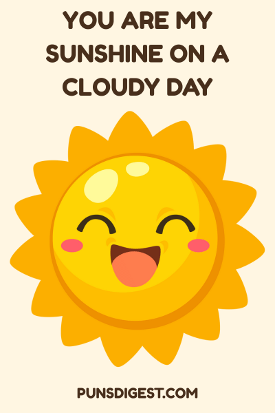 Funny Sun Puns
