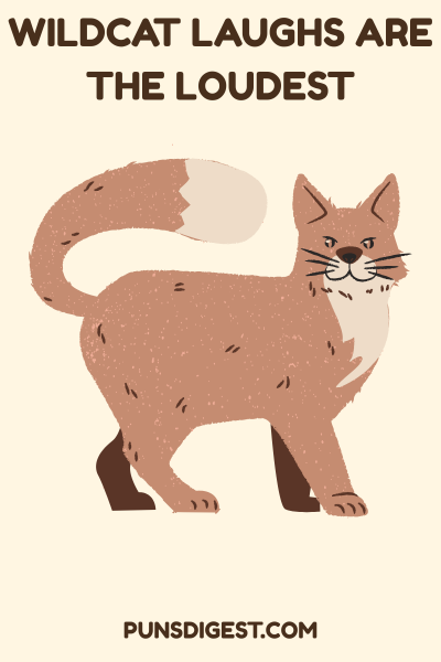 Funny Wildcat Puns