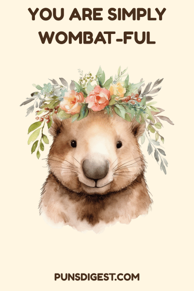 Funny Wombat Puns