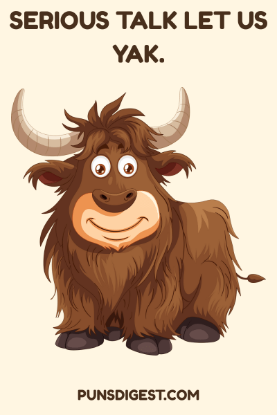 Funny Yak Puns