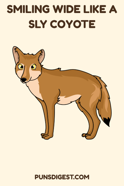 FunnyCoyote Puns