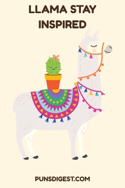 Good Llama Puns