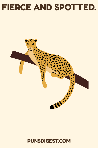 Instagram Leopard Puns