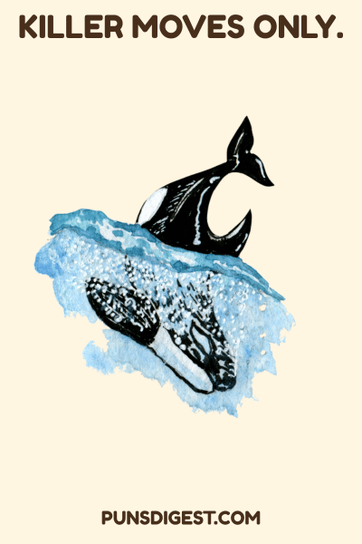 Killer Whale Puns