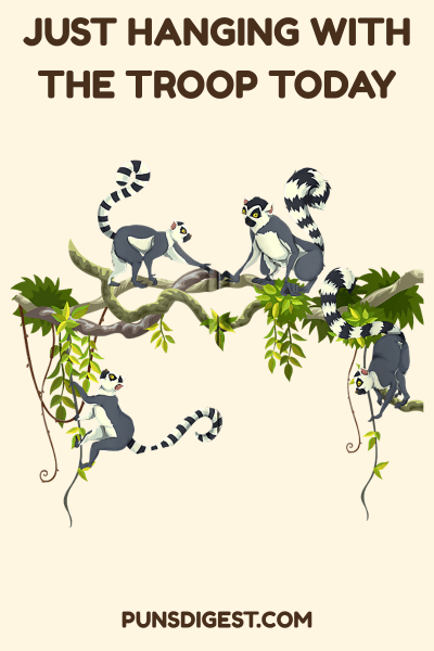 Lemur Puns for Captions