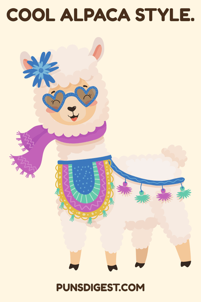 Love Alpaca Puns