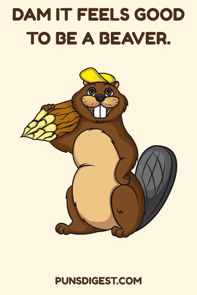 Love Beaver Puns