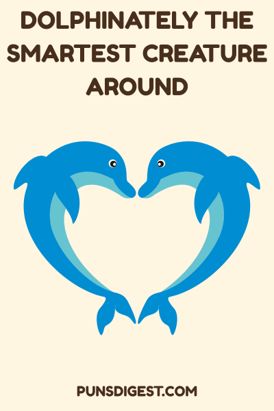Love Dolphin Puns