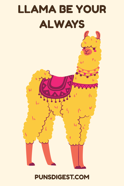 Love Llama Puns
