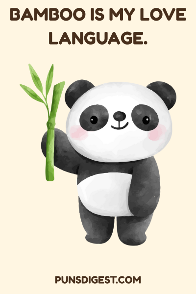 Love Panda Puns
