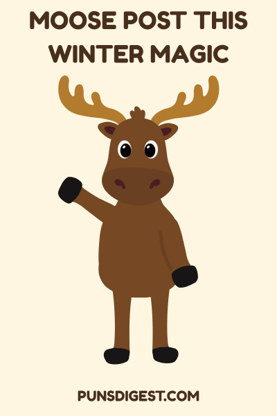 Moose Puns Captions