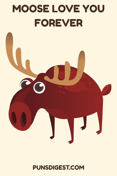 Moose Puns for Birthday