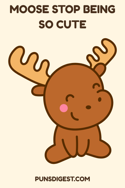 Moose Puns for instagram