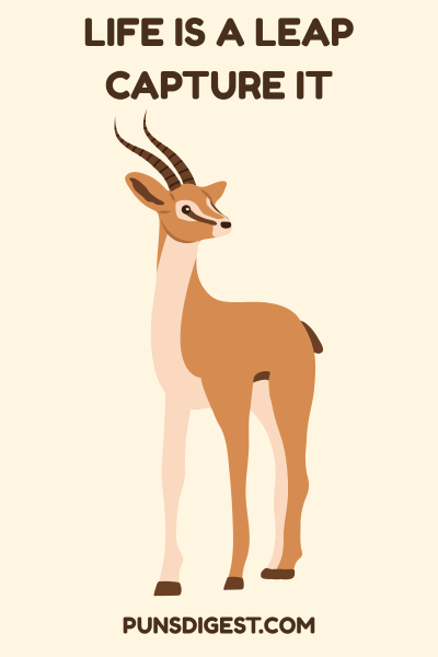 One Liner Antelope Puns