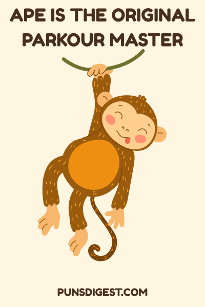 One Liner Ape Puns