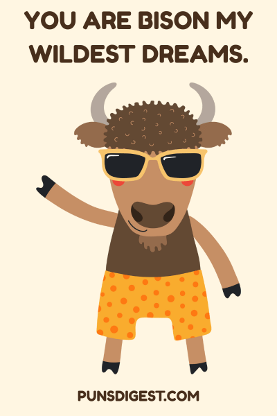 One Liner Bison Puns