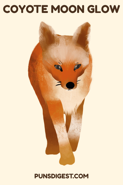 One Liner Coyote Puns
