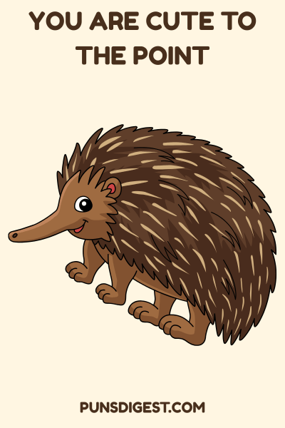 One Liner Echidna Puns